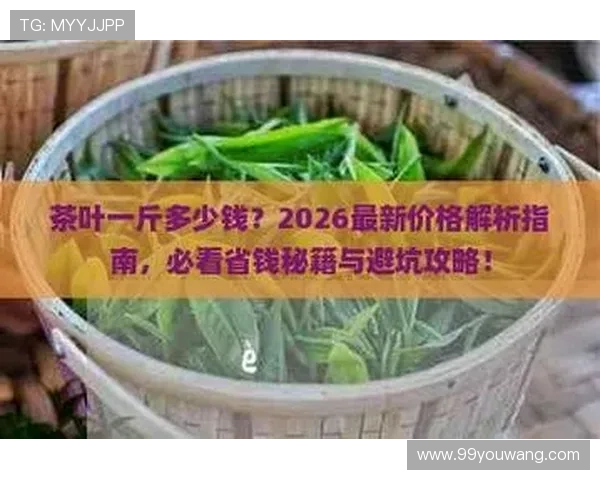 365玩球平台彩票数字高频玩法防骗避坑指南